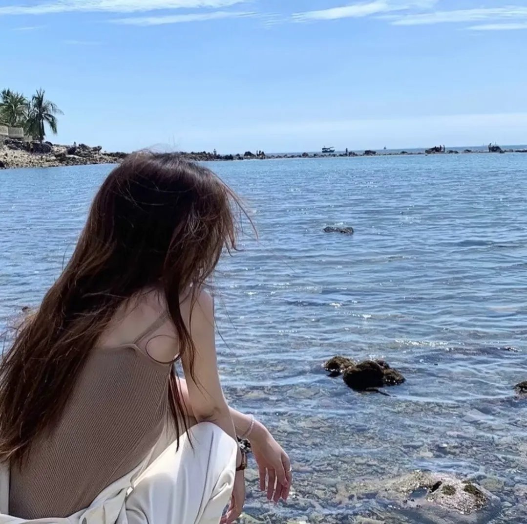 掌门女婿